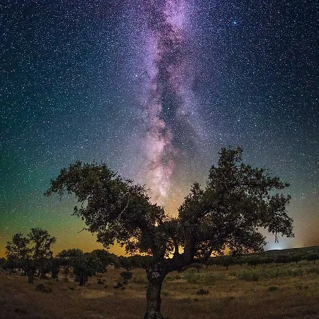 بيت للعطل Plaza Del Pacifico La Bazana *