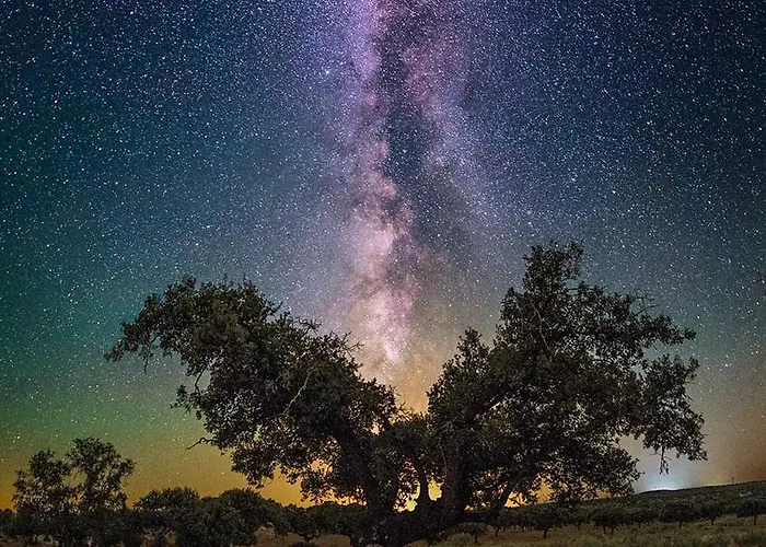 Prázdninový dům Plaza Del Pacifico La Bazana *