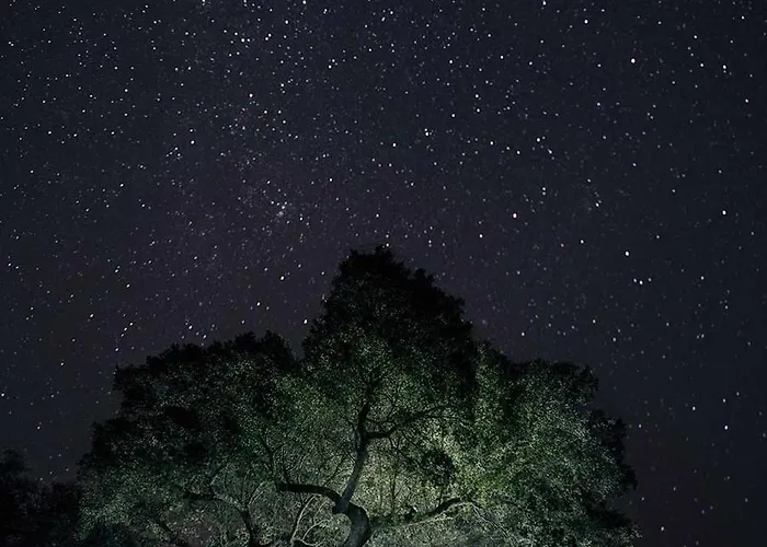 Plaza Del Pacifico La Bazana Prázdninový dům *