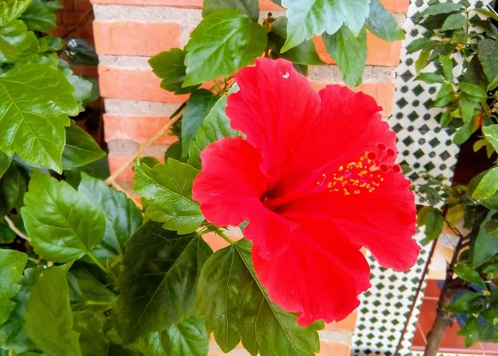 Prázdninový dům Plaza Del Pacifico La Bazana